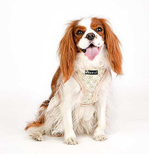 Puppia Hundegeschirr für kleine und mittelgroße Hunde - Hepatica Harness A - verstellbar und komfortabel