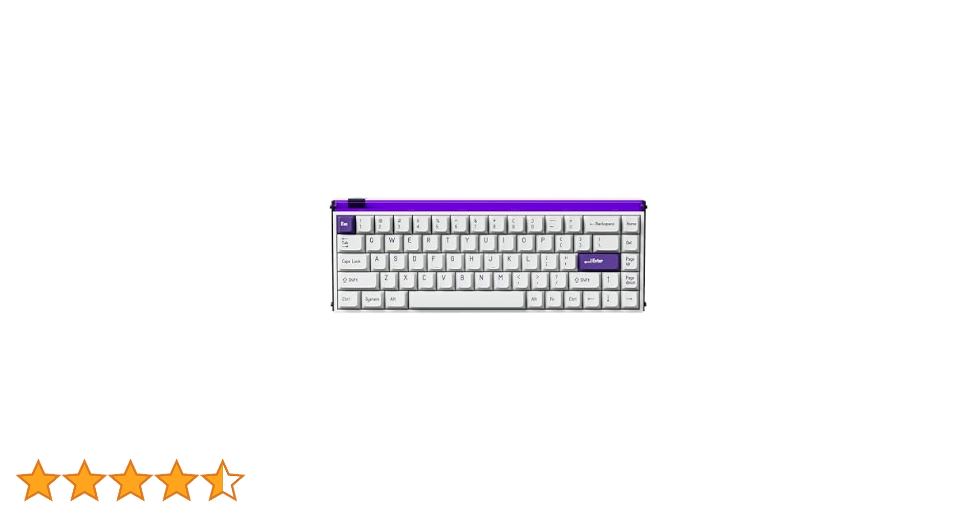 41AdxbkYNlL.jpg_BO30,255,255,