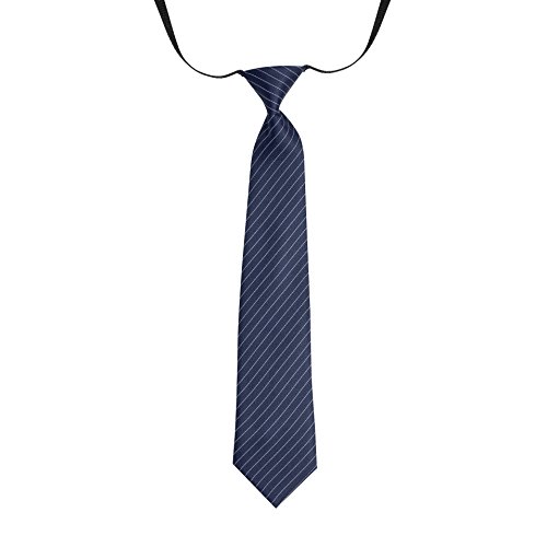 Loviena Galaxy Pin Stripe Boy's Tie