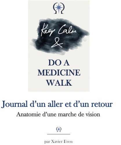 Télécharger Journal d'un aller et d'un retour - Anatomie d'une marche de vision PDF