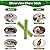 16PCS Cat Grass Teething Stick,Cat Dental Sticks,Cat Chew Sticks,Cat Grass Stick for Indoor Cats,Cat Grass Chew Stick,Cat Dental Toy,Cat Hairball Removal,Cat Teeth Cleaning Treats,Catnip Sticks