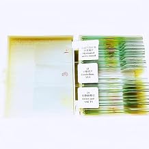 25pcs/Set Basic Histology Slide Set Education Slides Histological Microscope Slides