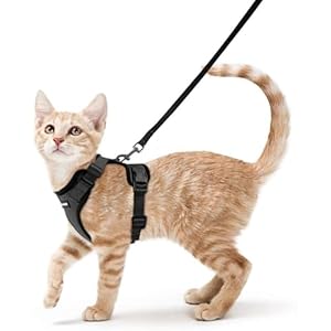 rabbitgoo Cat Harness and Leash for Walking, Escape Proof Soft Adjustable Vest Harnesses for Cats, Easy Control Breathable Reflective Strips Jacket, Black, XS
