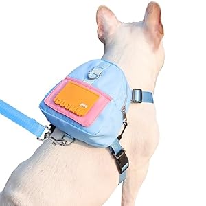 Dog-Backpack-Harness-with-LeashCute-Pet-Puppy-Backpacks-Bulid-in-Dog-Poop-Bag-DispenserAdjustable-Pets-Self-Carrier-Bag-for-Small-Medium-Dogs-Travel-Hiking-Daily-Walking-M-Blue - Cucciolini Doodles   Dog-Backpack-Harness-with-LeashCute-Pet-Puppy-Backpacks-Bulid-in-Dog-Poop-Bag-DispenserAdjustable-Pets-Self-Carrier-Bag-for-Small-Medium-Dogs-Travel-Hiking-Daily-Walking-M-Blue