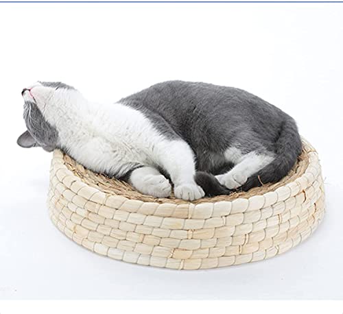 Griffoir réversible pour chat 2 en 1 carton rond 40 cm accessoire chat