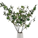 Gresorth Fruit-468-FBA