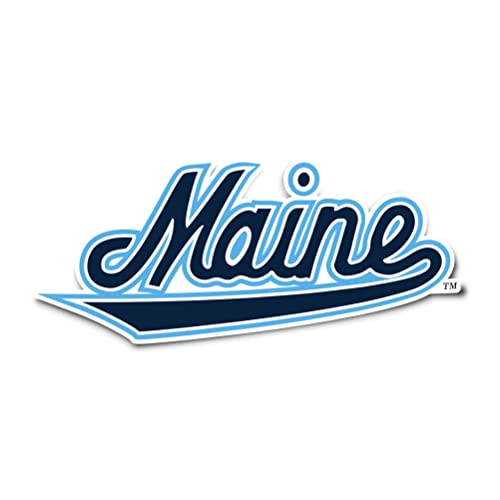 Desert Cactus Maine Black Bears Sticker Decal (IND 00025)