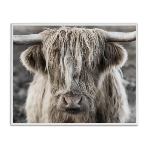 Highlands Cattle Farm Photography, 11 x 14 Inch Framed Giclée Print