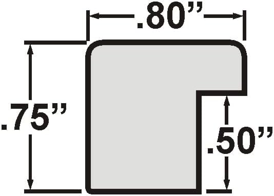 Craig Frames Bauhaus 75, 14x18 Picture Frame, Stainless Silver