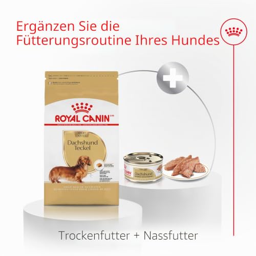 Royal Canin Dry Dog Food, Dachshund Formula, 10-Pound Bag by Royal Canin