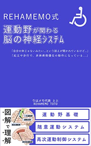 運動野が関わる脳の神経システム りはメモKindle版