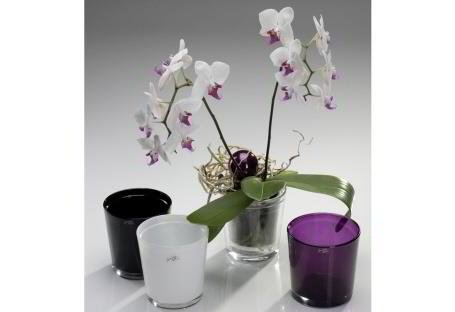 Orchideentopf aubergine ø12,5 / 6 Stück