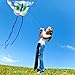 Butterfly Kite for Kids & Adults Easy to Fly, Large Kites for The Beach, Single Line Kite for Beginner, Come with 4 Long Tail and 300 FT String, Green