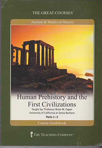 Cover of The Vikings