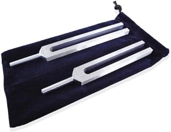 Amazon | [セドナの魔法]biosonics社製 ボディチューナー 256Hz