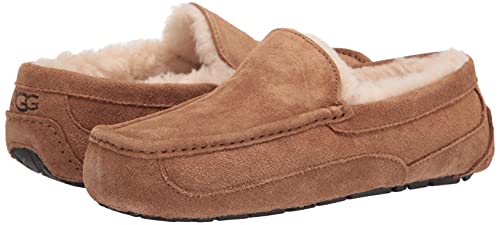 Image of UGG Men's Ascot Slipper
