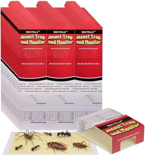30 Pack Spider Traps Indoor Ant Traps Indoor Spider Traps Sticky Bug Traps Indoor Adhesive Glue Boards for Crawling Insects Spider Ant Roach Traps for Home Monitoring Use