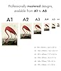 American Flamingo Poster John James Audubon Vintage Bird Illustration Antique Print Ornithology Art, Archival Matte, A4 (Print Only) - 29.7x21cm #4
