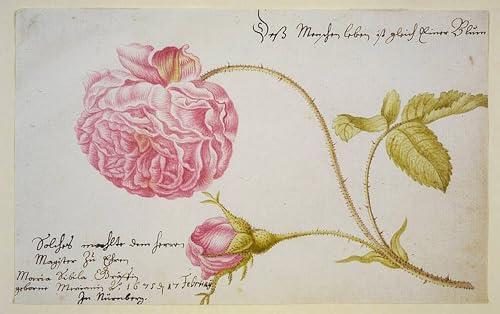 Impression tableaux peinture sur toile fleur rose déco chambre moderne