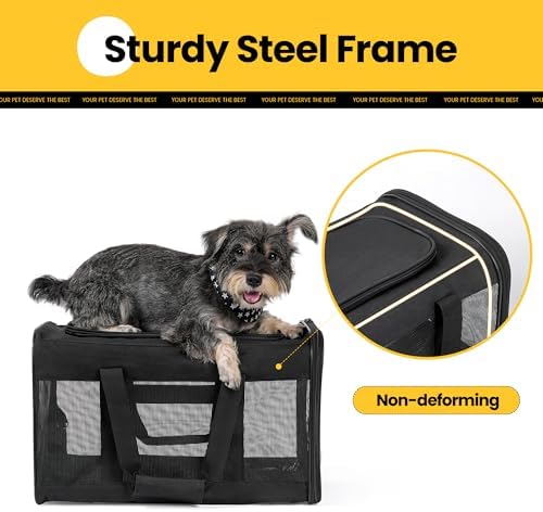 Cat Carrier Airline Approved — bottom and base construction detail