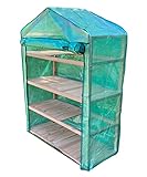 Extra Wide 4 Tier Wooden Mini Greenhouse with Reinforced Cover