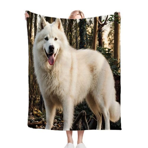 Plaid Polaire 220x240 Animal Chien, Couverture Polaire 220x240 | Dimensions Royales pour Lit King Size, d'une Douceur Persistante, Procure Une Expérience de Sommeil Chaleureuse I11-