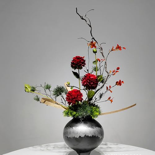 HGJH  CeA   ͂Ȃ a_ V  F ԕr} ԃAW fBXvCp ϑސF ό RȎp Cɖ A CeA ϑސF ό tFCNO[ zj Vzj J[6