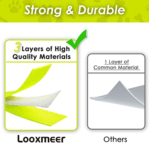 Looxmeer Training Leads for Dogs 10m Dog Training Lead for Large Medium Small Dogs Recall Obedience Long Line Dog Lead - Image 2
