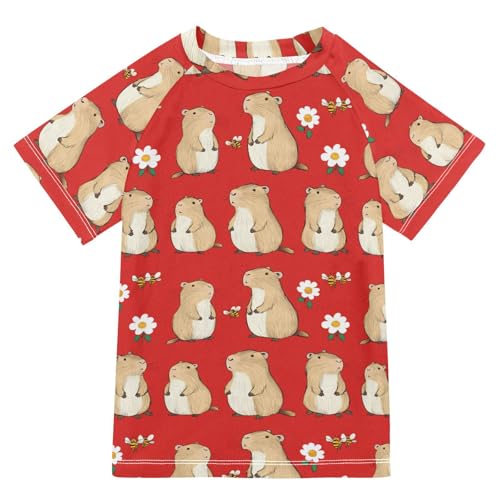 Boy Bathing Suit Short Sleeve Little Girls Swimsuits 7T Cartoon Capybara Red