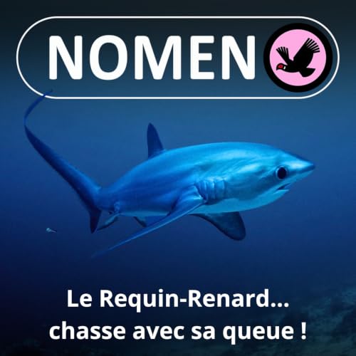 S01E07 La caudale du Requin renard, "fl&eacute;au" des oc&eacute;ans, est une redoutable arme de chasse !