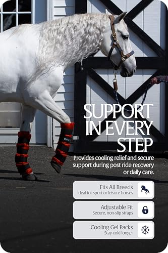 Image of Equinavia Cool Relief Therapy Equine Ice Boots for Horses-Gel Cooling Wraps | Reusable Horse Ice Boots, Soothing Ice Wraps for Horses Recovery Cool Gel for Tendons and Ligaments Soreness After Exercise