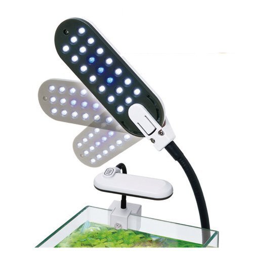 Amazon | 寿工芸 コトブキ工芸 エコスポットフリー 21 2W