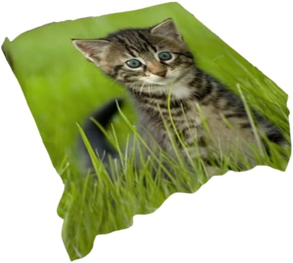 Personalization Universe Picture It! Pet Personalized 90" x 90" Plush Queen Fleece Blanket