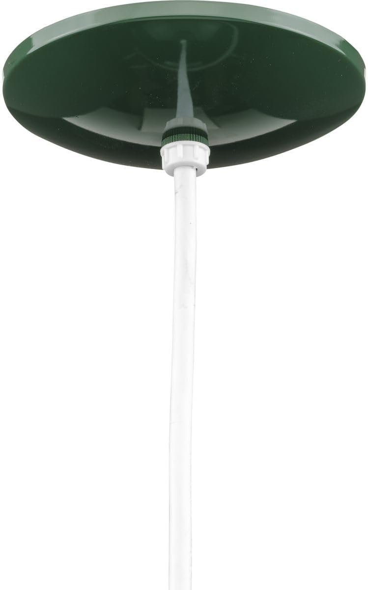 Progress Lighting Zin Collection 1-Light Brushed Nickel Clear Textured Glass Global Pendant Light