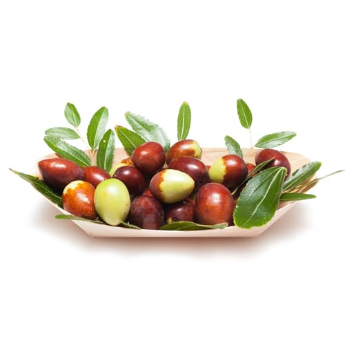 Semillas de azufaifa (jujuba), Plantas en maceta resistentes y resistentes a las frutas en columna. Plantas de balcón, balcón de invernadero. Semillas de árboles, plantas 15pcs