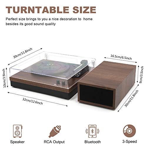 Lecteur de disques Vinyle Bluetooth avec Haut-parleurs externes, Platine Vinyle à entraînement par Courroie à 3 Vitesses… - Les Beatles, Paul McCartney, John Lennon, RIngo Starr, George Harrison Lecteur de disques Vinyle Bluetooth avec Haut-parleurs externes, Platine Vinyle à entraînement par Courroie à 3 Vitesses… – Image 3