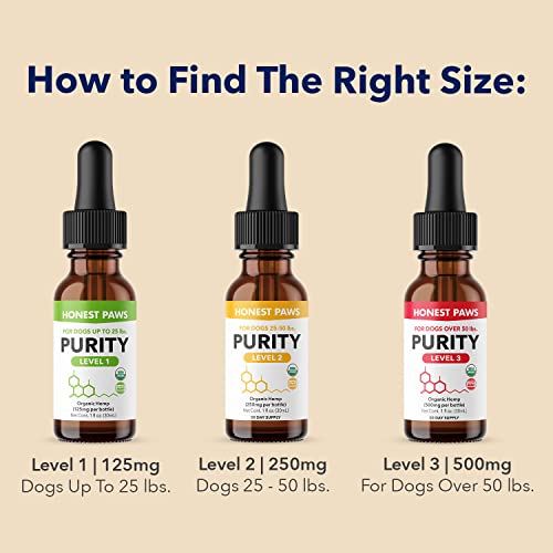 Honest Paws Hemp Oil For Dogs - Natural Hemp Seed Oil And Calming Purity Drops For Dogs Rich In Omega 3 6 9 To Promote Healthy Bones, Joint Support, Relaxation And Relieve Discomfort -Made In The Usa #TOP6