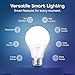 Geeni LUX 800 Smart Wi-Fi LED Dimmable White Light Bulb (2700K) – A19, 60-Watt Equivalent – No Hub Required – Works with Amazon Alexa, Google Assistant