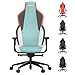 RECARO Rae Bright Blue | Chaise Gaming Premium avec mécanisme synchrone | Chaise Gamer Ergonomique avec Finition Haut de Gamme, Design Discret, également utilisable comme Chaise de Bureau