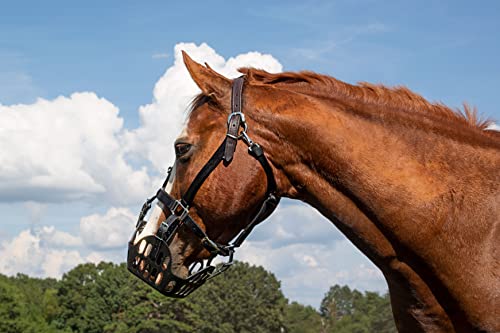 Greenguard Gg Equine Grazing Muzzle For Horse - Lighter, Durable Horse Accessories - Comfortable Horses Muzzle With Proper Airflow & Natural Grazing Behavior Design #TOP4