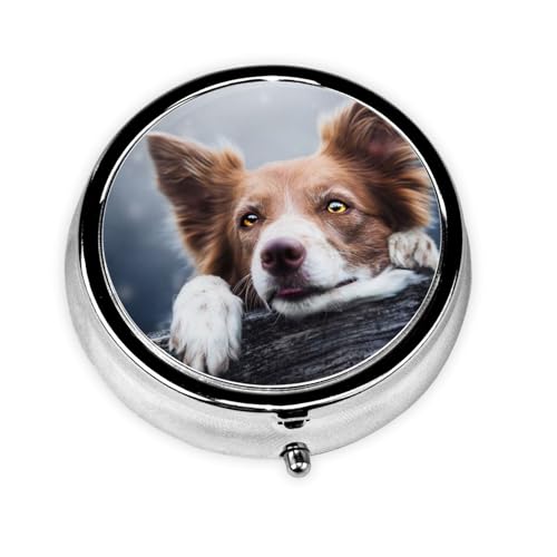  P[X Aj ~j{bNX   P[X F{[_[R[ Fڃ{P_l e ۂ TvP[X 򐮗P[X lbNX R lW [P[X