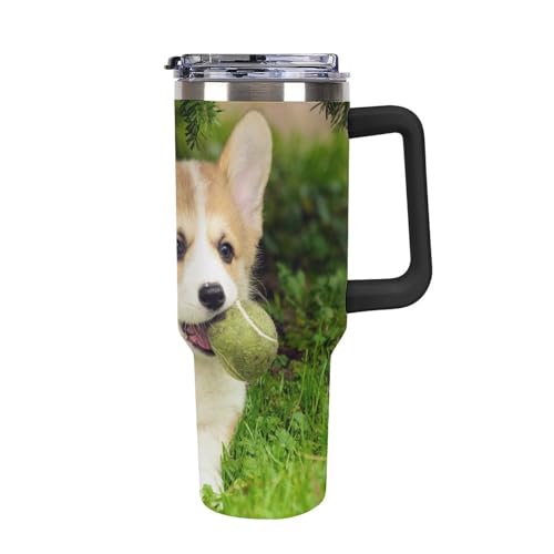 ^u[ R[M[ ₫イ킢  e ۉ ۗ Wt @r ^fM {g Xg[t   ItBX ԍڗp XeX   Rrj}O  ECXL[ AEghA