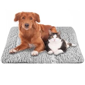 Gbkdqq Samonagrzewający Koc Dwustronny dla Zwierząt