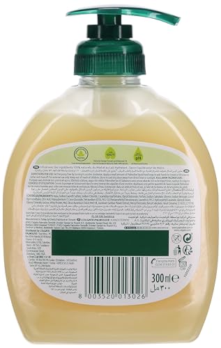 Palmolive Naturals Milk & Honey Handwäsche, 300 ml (Packung mit 1 Stück) (Verpackung kann variieren)