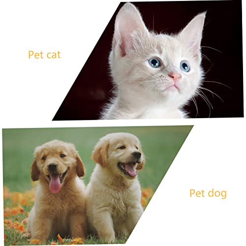 Set disfraz de capa y sombrero Halloween para perros y gatos miniatura 6