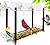 Nature Gear Acrylic Clear Bird Feeders for Window Viewing, Weather Resistant & Easy to Clean with Sliding Tray, Clear Window Bird Feeder with Strong Suction Cups, Column