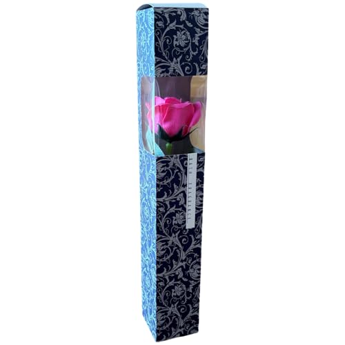 L[t(Q-FLA) \[vt[  u[P ԑ 1  AxXN OXe r[eB[ ̓ Mtg 蕨 811913