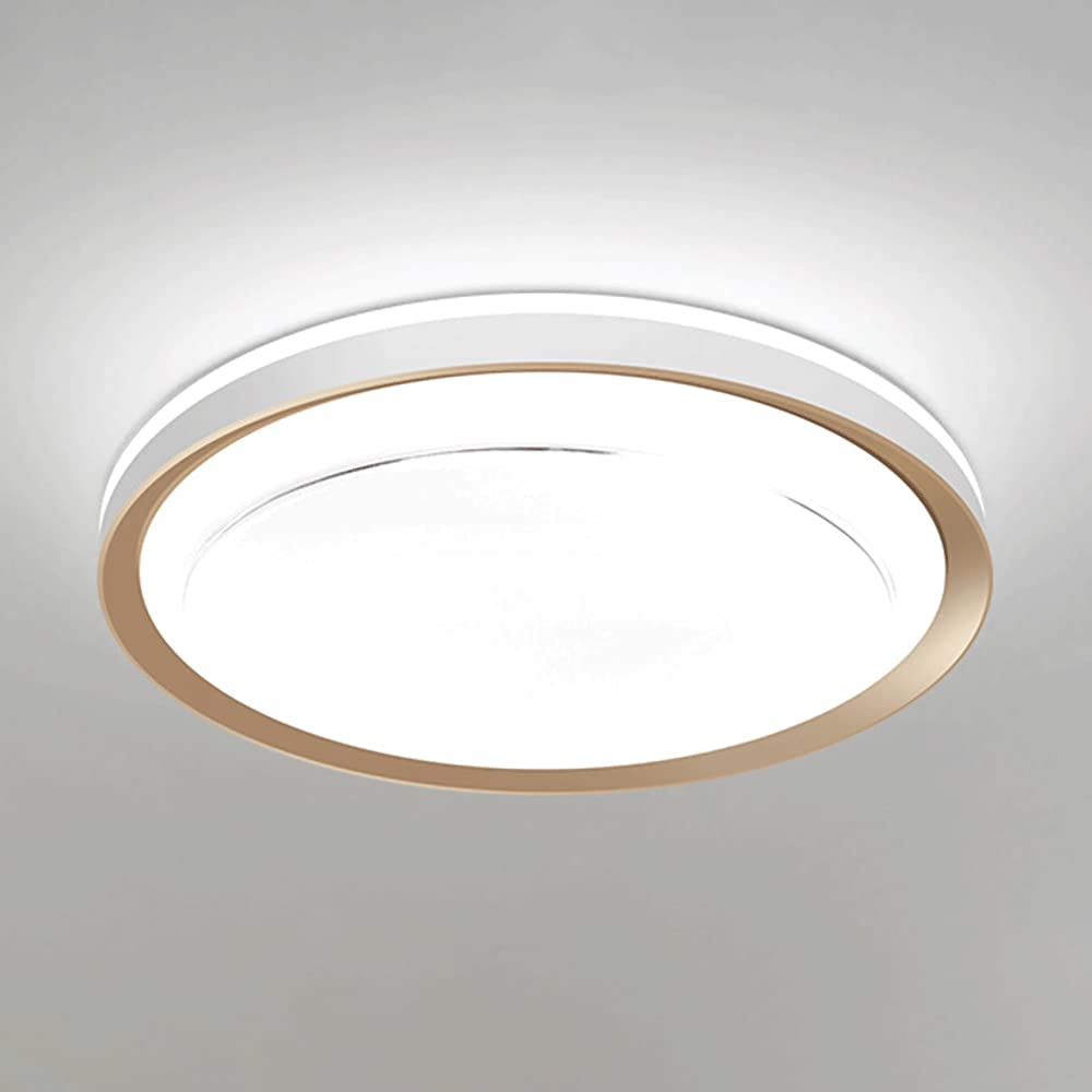 Mjsdjof Round Acrylic Panel Light, Modern 36W LED Ceiling Lights, Bedroom Ceiling Decorative Lighting Lamp, Gold Simple Ceiling Lamps for Living Room, Corridor, Kids Room D-15.75"