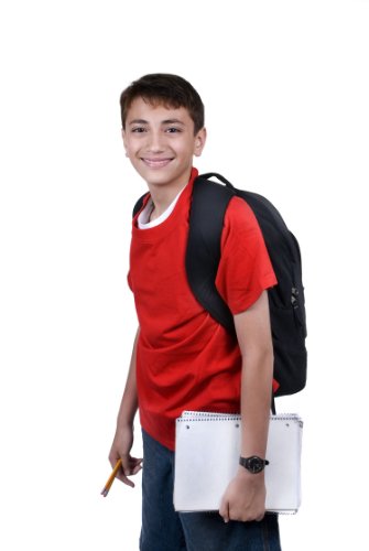 Fast and Furious Minds...Learning Strategies for Children With ADHD
