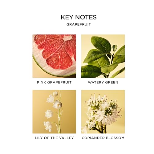 Image of NEST New York Scented Votive Candle, Grapefruit - 2 oz - Up to 28-Hour Burn Time - Reusable Glass Vessel